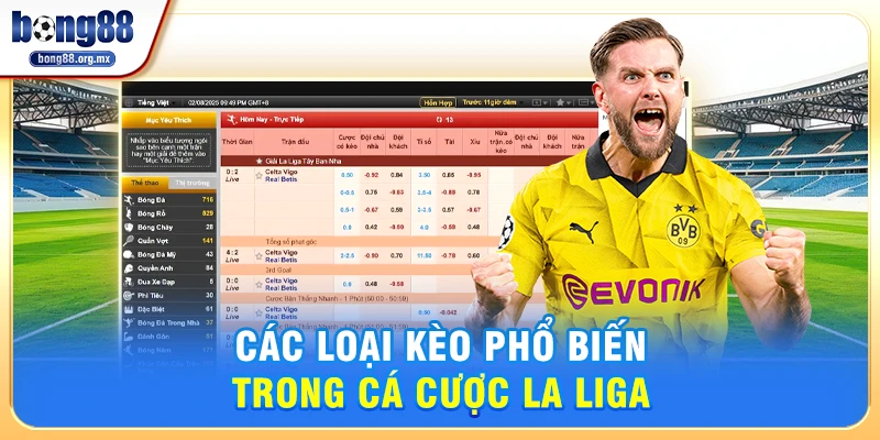 Các Loại Kèo Phổ Biến Trong Cá cược La Liga