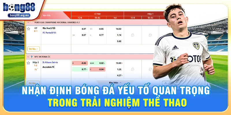 Nhận Định Bóng Đá – Yếu Tố Quan Trọng Trong Trải Nghiệm Thể Thao