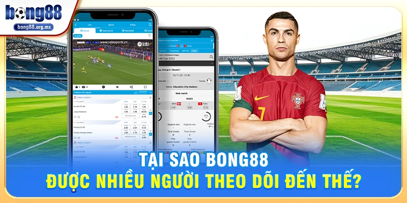 Tại sao Bong88 được nhiều người theo dõi đến thế?