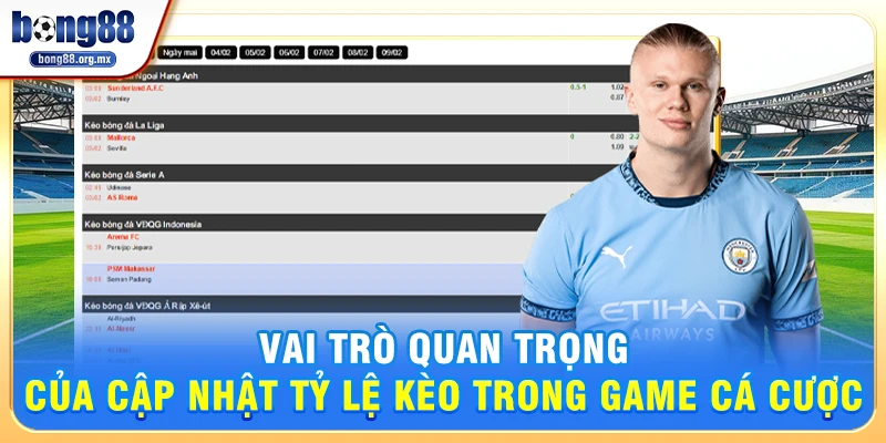 Vai Trò Quan Trọng Của Cập nhật tỷ lệ kèo Trong Game Cá Cược