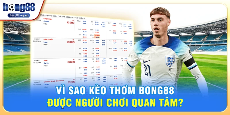 Vì Sao Kèo thơm Bong88 Được Người Chơi Quan Tâm?
