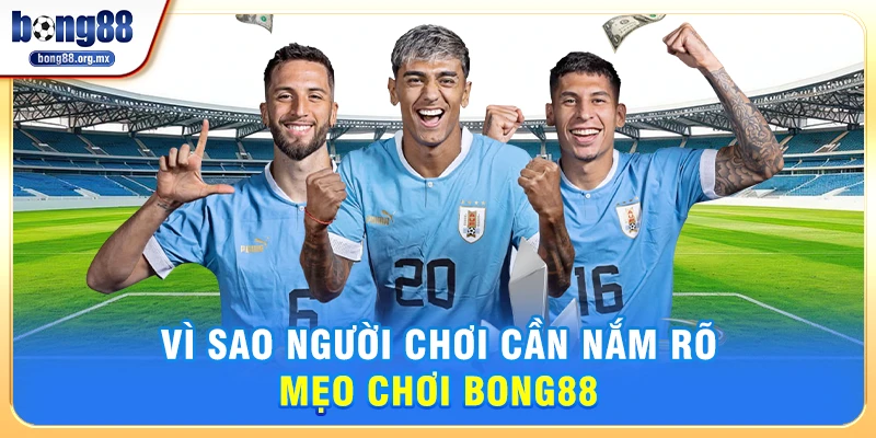 Vì Sao Người Chơi Cần Nắm Rõ Mẹo chơi Bong88